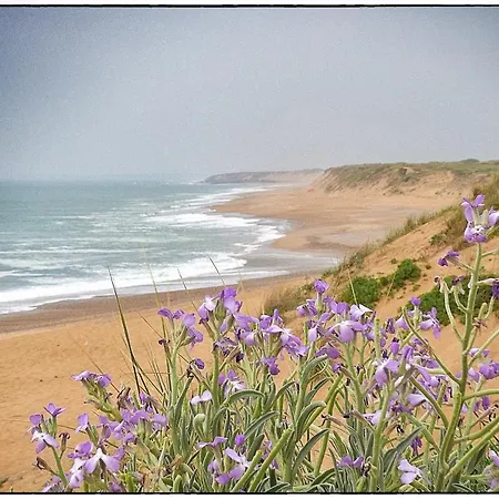 بيت للعطل Des Loups De *