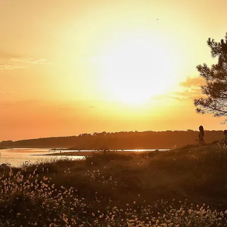 Des Loups De * Talmont-Saint-Hilaire