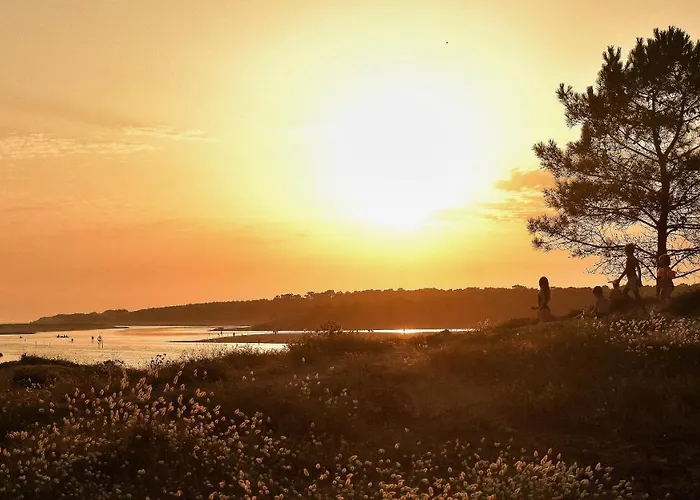 Des Loups De * Talmont-Saint-Hilaire